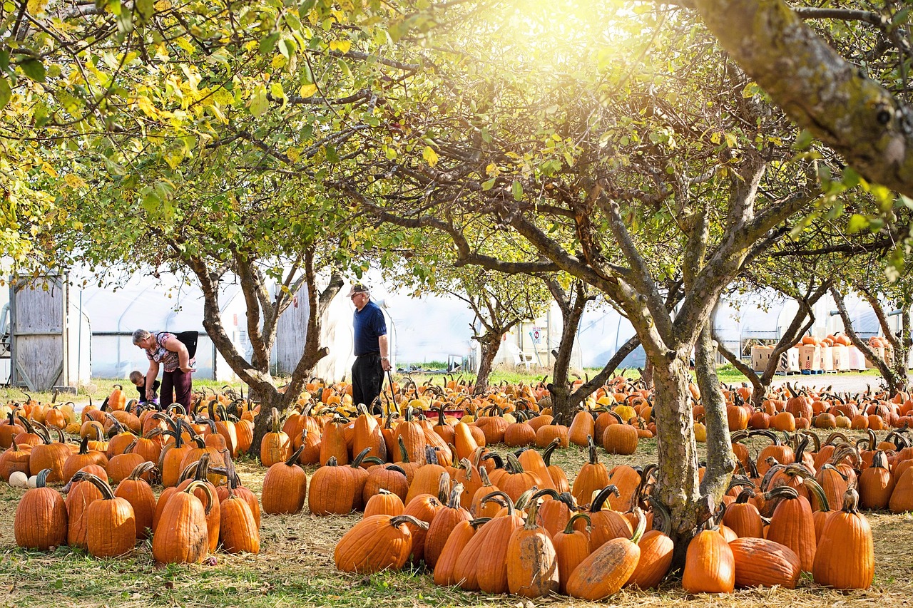 Mahomes Family Goes Full Gourd Mode: Patrick and Brittany's Pumpkin Patch Day Steals Hearts